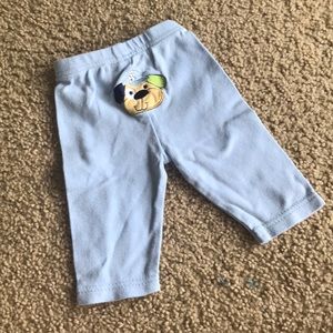 Adorable Dog Pants